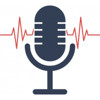 Система записи телефонных переговоров ФЛАТ ЗАПИСЬ Система записи телефонных переговоров ФЛАТ ЗАПИСЬ