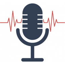 Система записи телефонных переговоров ФЛАТ ЗАПИСЬ Система записи телефонных переговоров ФЛАТ ЗАПИСЬ