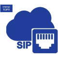Лицензия для записи 10 протоколов IP телефонии